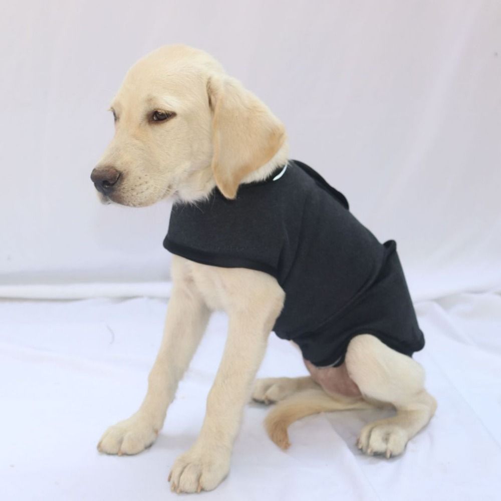 Dog Anxiety Vest - Ciepła kamizelka dla zwierząt Oddychająca kurtka