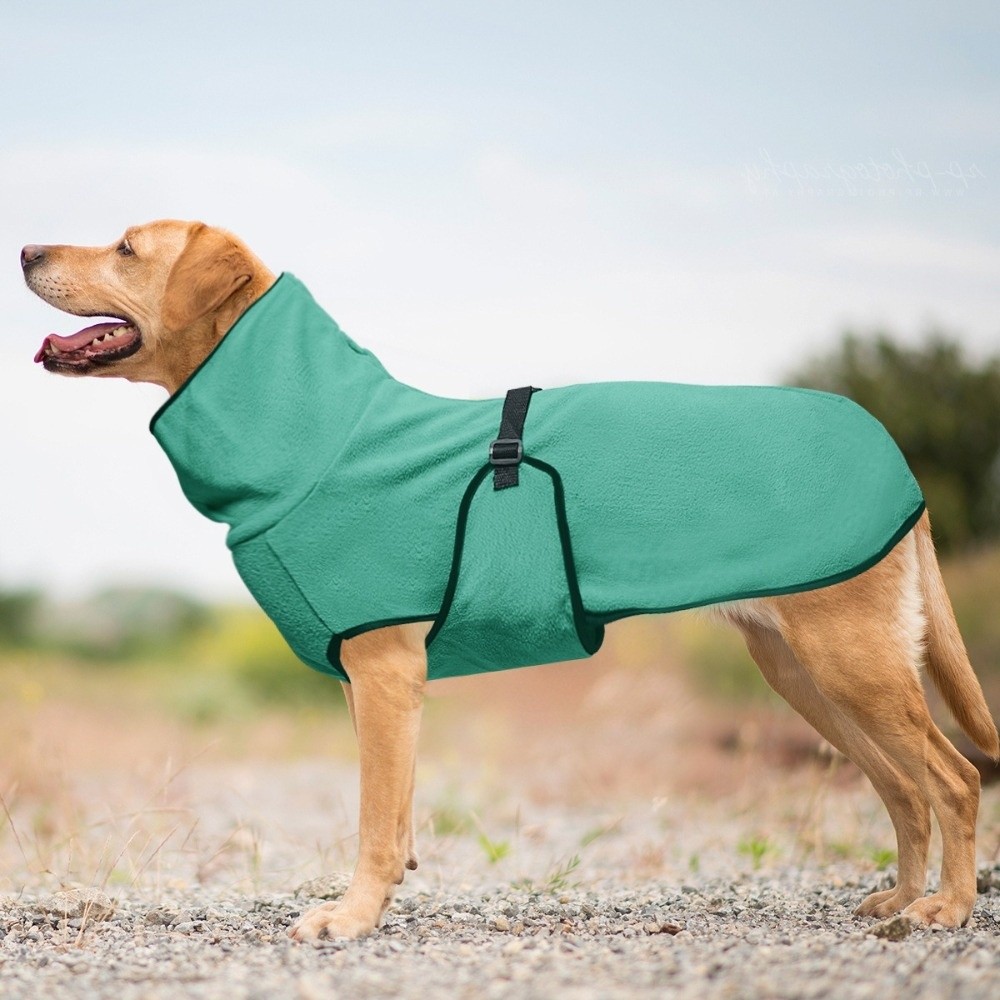 Jednokolorowe, ciepłe zimowe u – Dog Anxiety Vest recenzja i cena