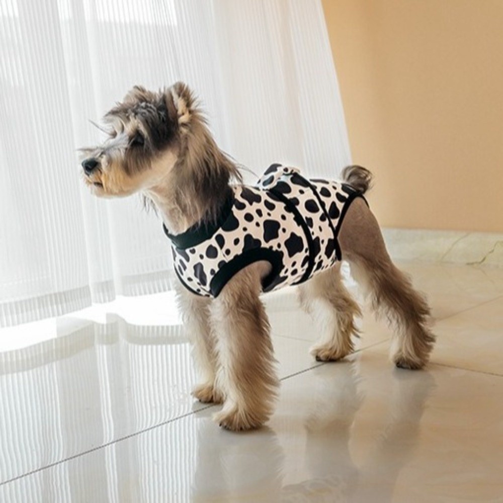 Oddychający kombinezon poopera – Dog Anxiety Vest recenzja i cena