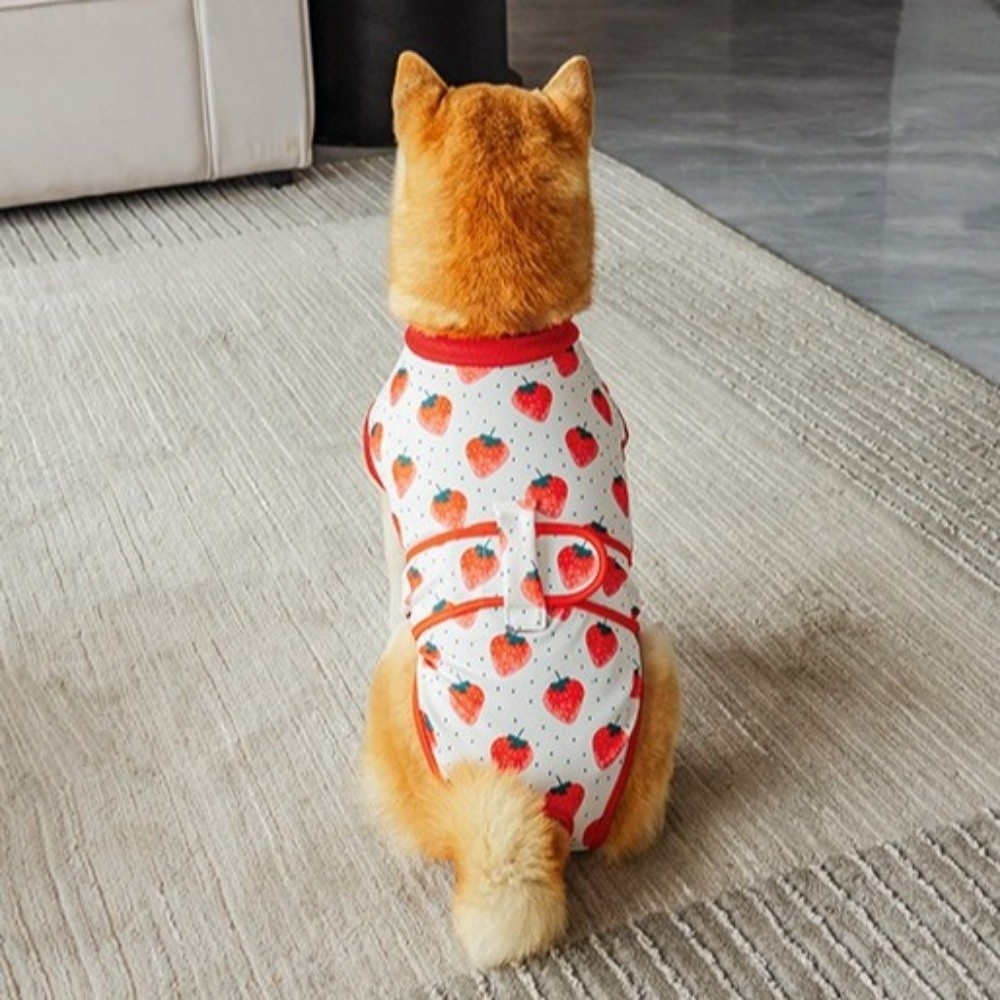 Oddychający kombinezon poopera – Dog Anxiety Vest recenzja i cena