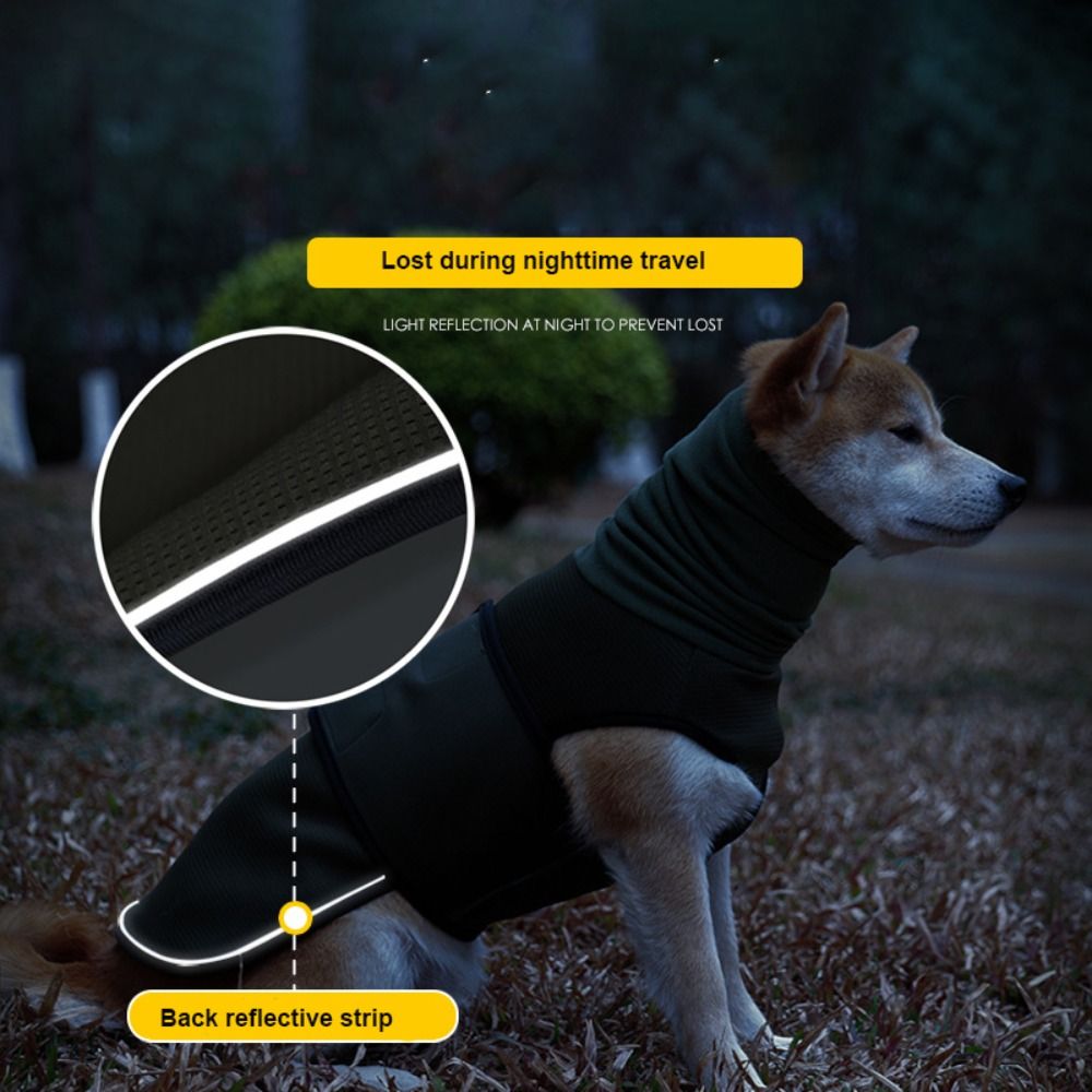 Wyciszająca bluza dla psa z od – Dog Anxiety Vest recenzja i cena
