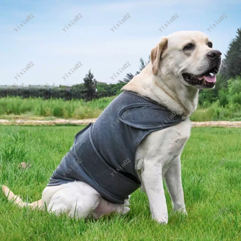 Klasyczna oddychająca kamizelk – Dog Anxiety Vest recenzja i cena