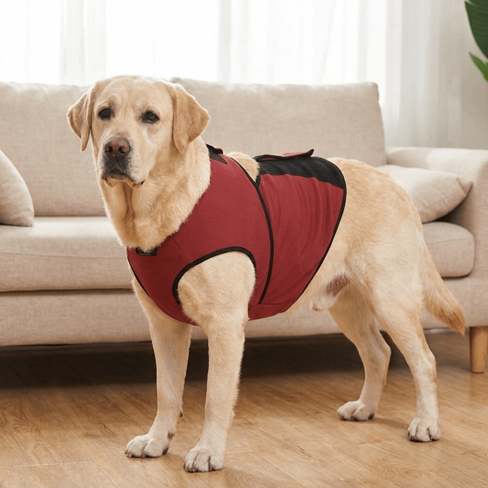 Praktyczna, oddychająca kamize – Dog Anxiety Vest recenzja i cena