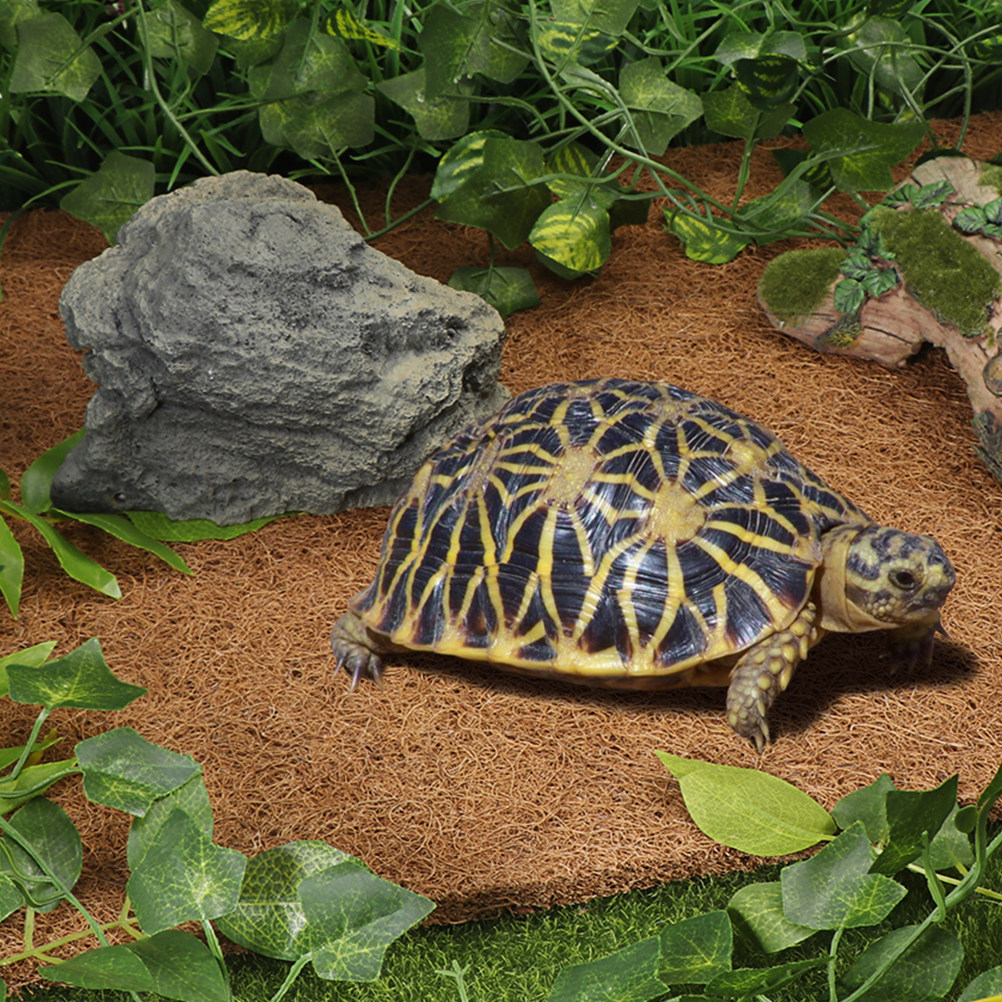 Podłoże kokosowe do terrarium  – Cat Litter Mat recenzja i cena