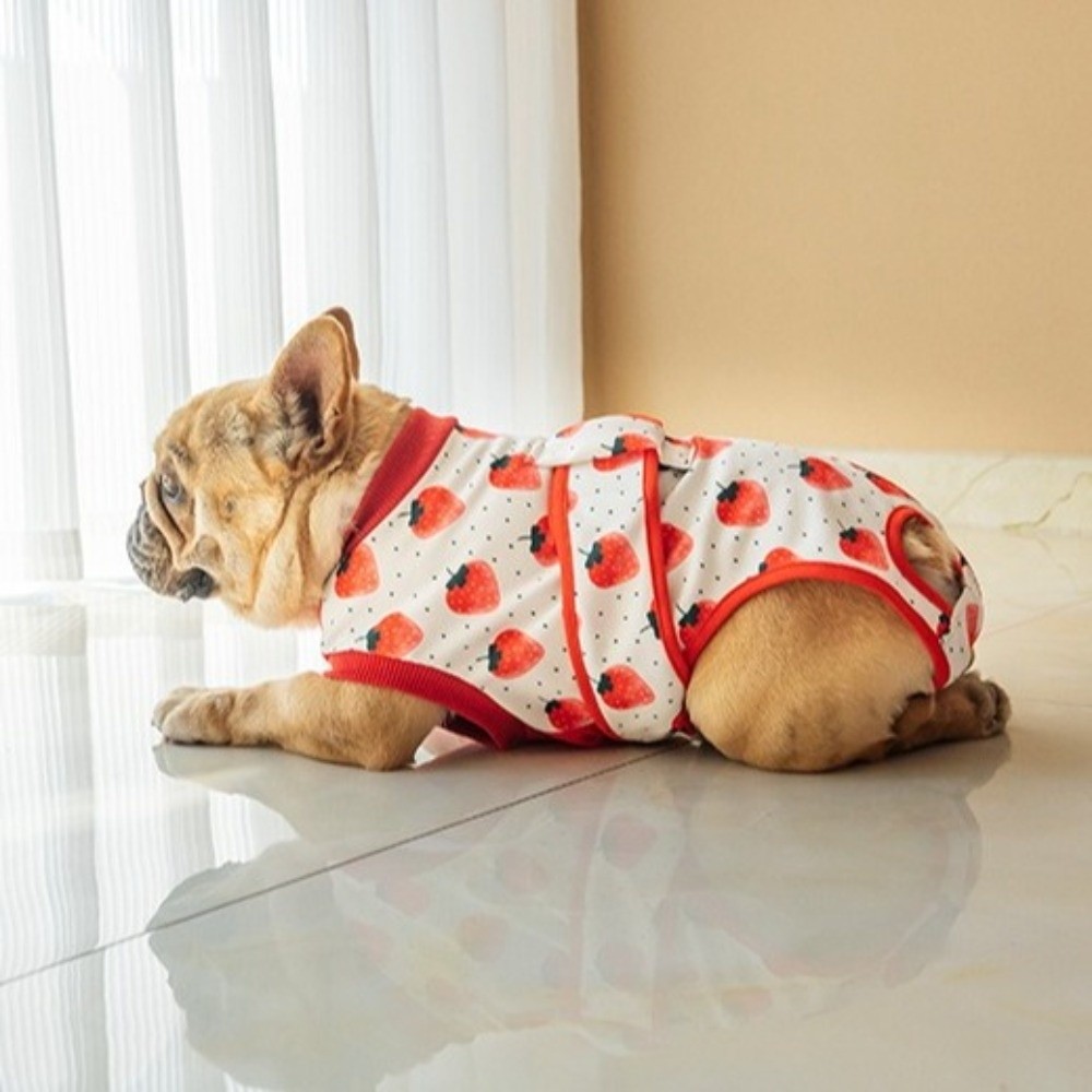 Uniwersalny, oddychający kombi – Dog Anxiety Vest recenzja i cena