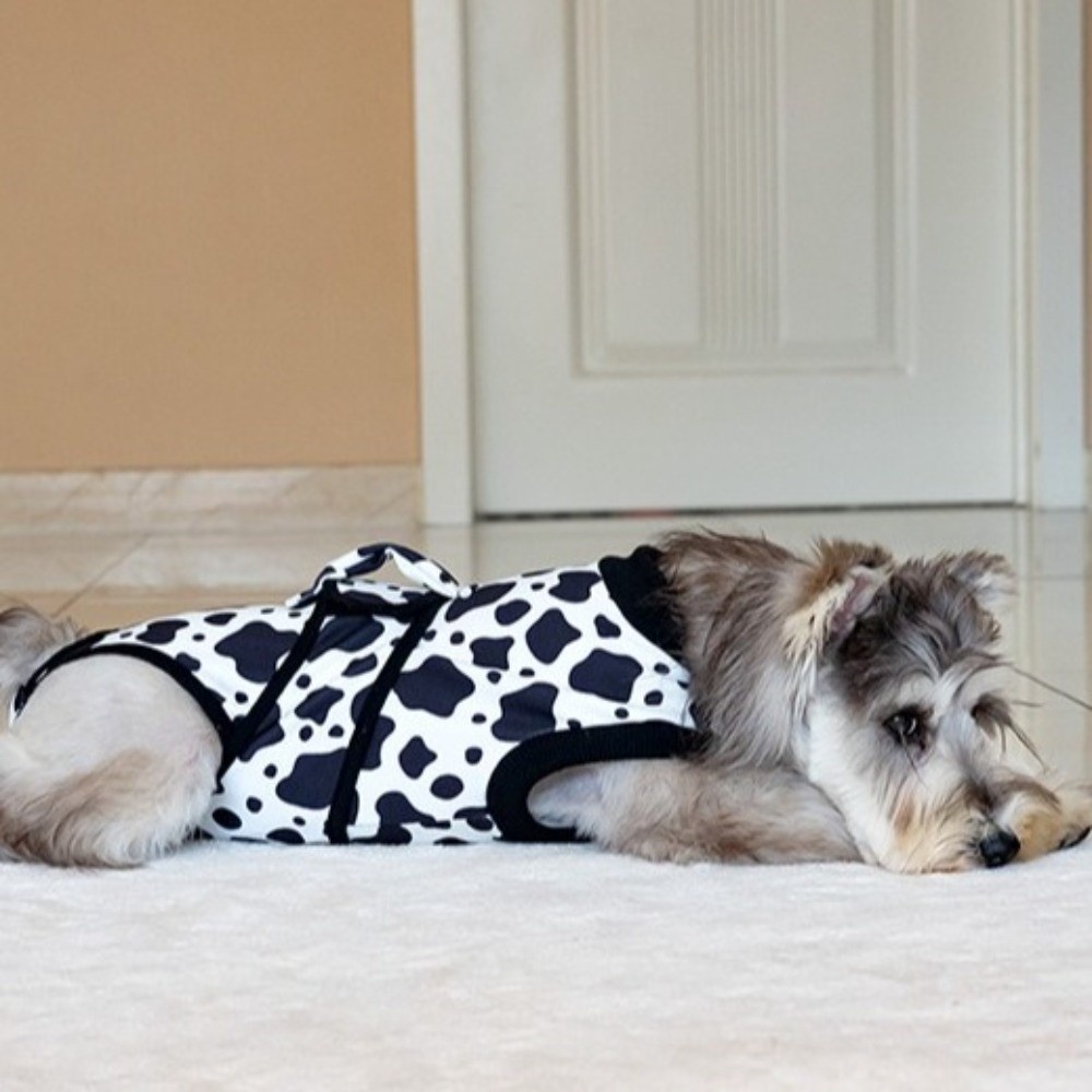 Uniwersalny, oddychający kombi – Dog Anxiety Vest recenzja i cena