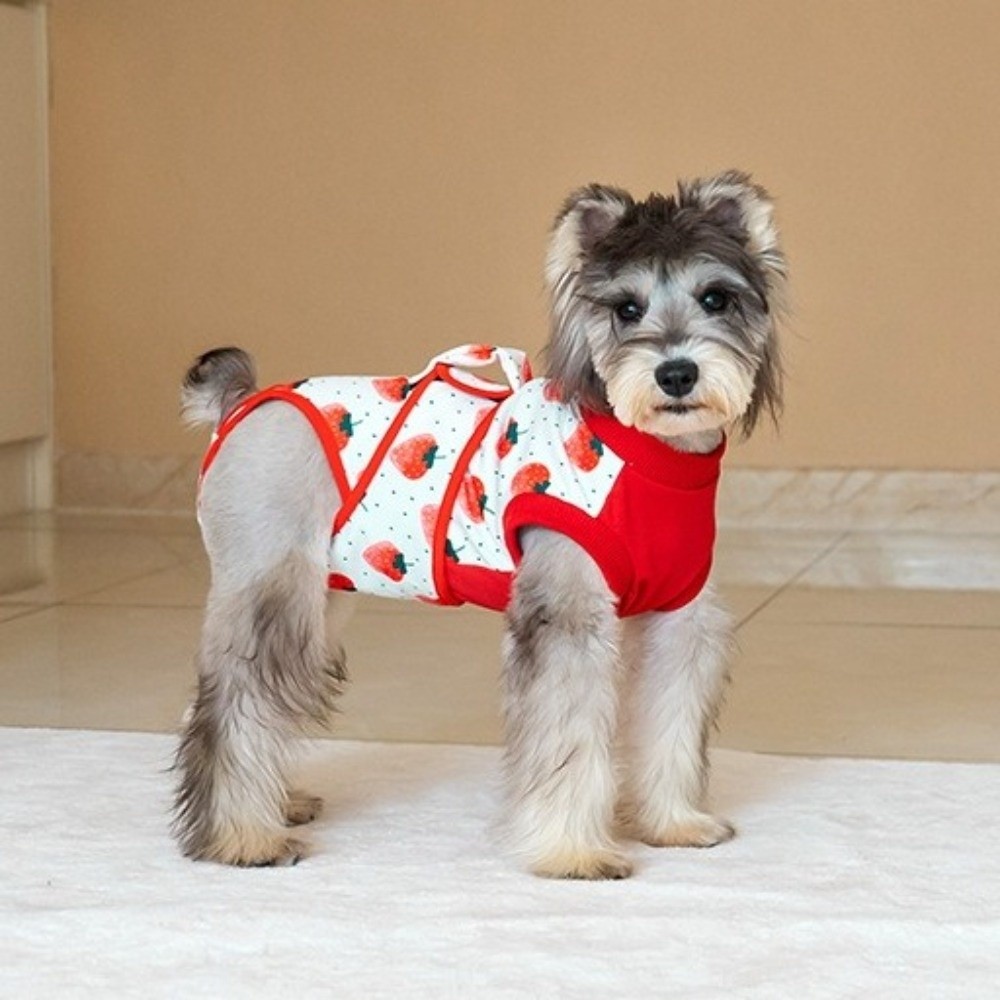 Oddychający kombinezon poopera – Dog Anxiety Vest recenzja i cena