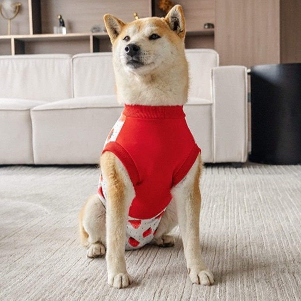 Oddychający kombinezon poopera – Dog Anxiety Vest recenzja i cena