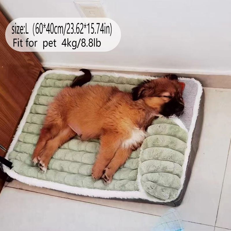 Cross-Border New Arrival Mata  – Pet Supplies Plus recenzja i cena