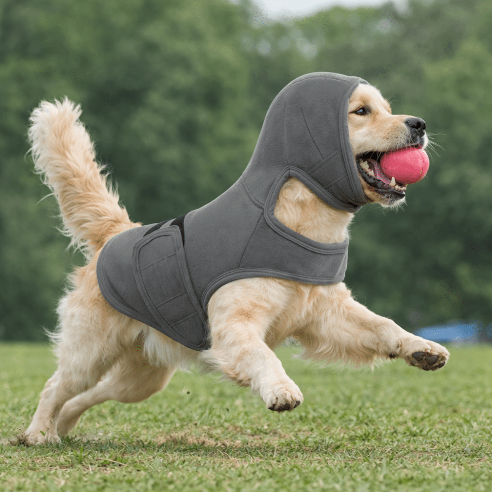 Elastyczna kamizelka antystres – Dog Anxiety Vest recenzja i cena