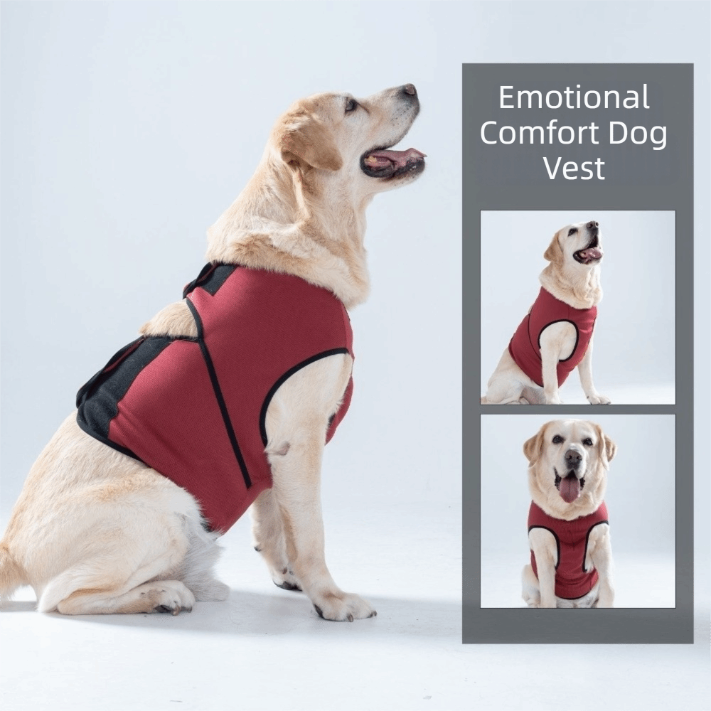 Oddychająca kamizelka uspokaja – Dog Anxiety Vest recenzja i cena