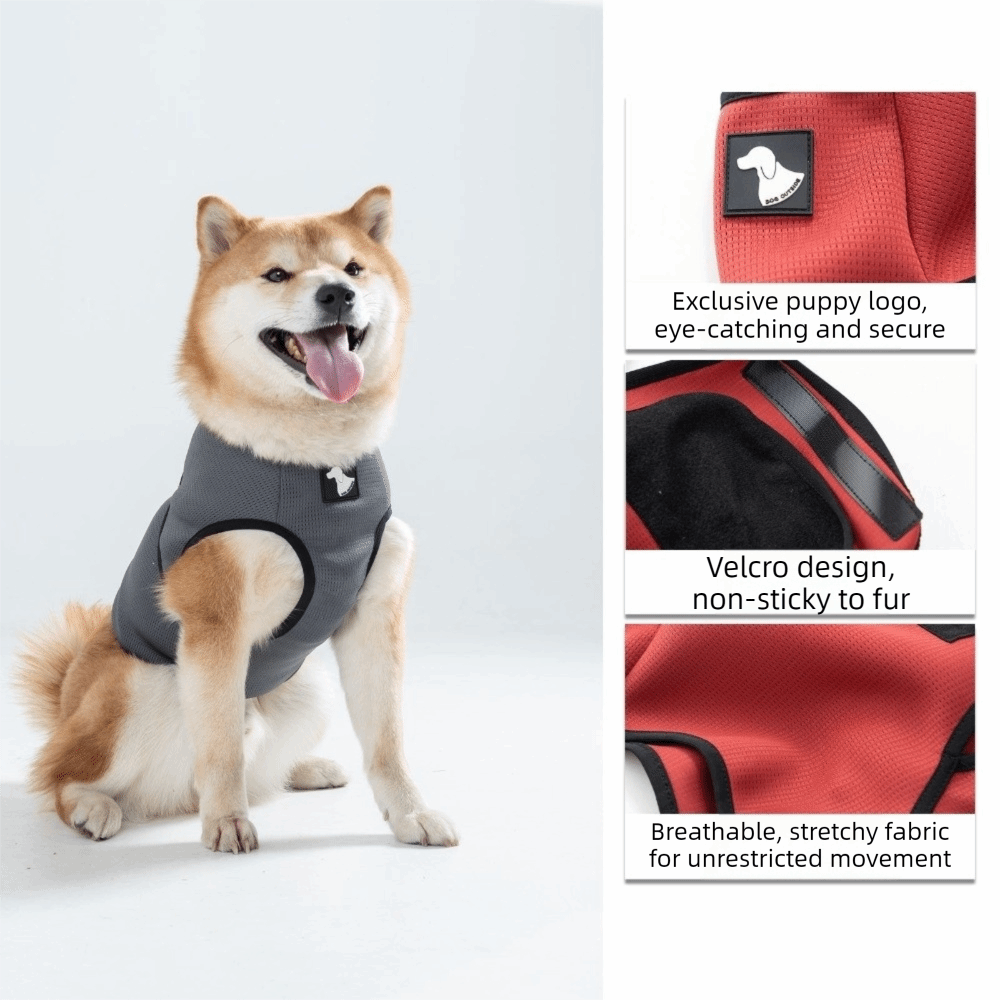 Ubranka dla zwierząt, oddychaj – Dog Anxiety Vest recenzja i cena