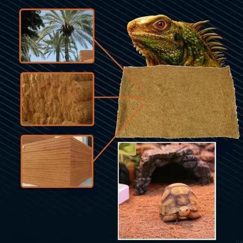 L74D Trwała i chłonna mata dla – Cat Litter Mat recenzja i cena