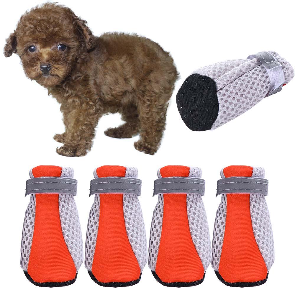 Bezpieczne, super miękkie buty – Pet Supplies Plus recenzja i cena