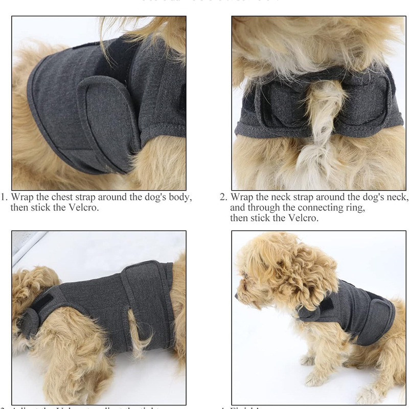 Kamizelka antystresowa dla psa – Dog Anxiety Vest recenzja i cena