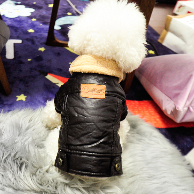 Skórzana zimowa kurtka dla zwi – Pet Supplies Plus recenzja i cena