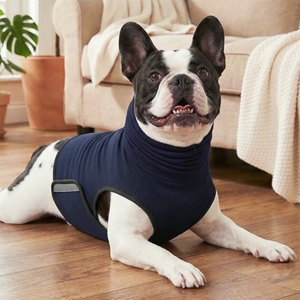 Wyciszająca kamizelka dla psa  – Dog Anxiety Vest recenzja i cena