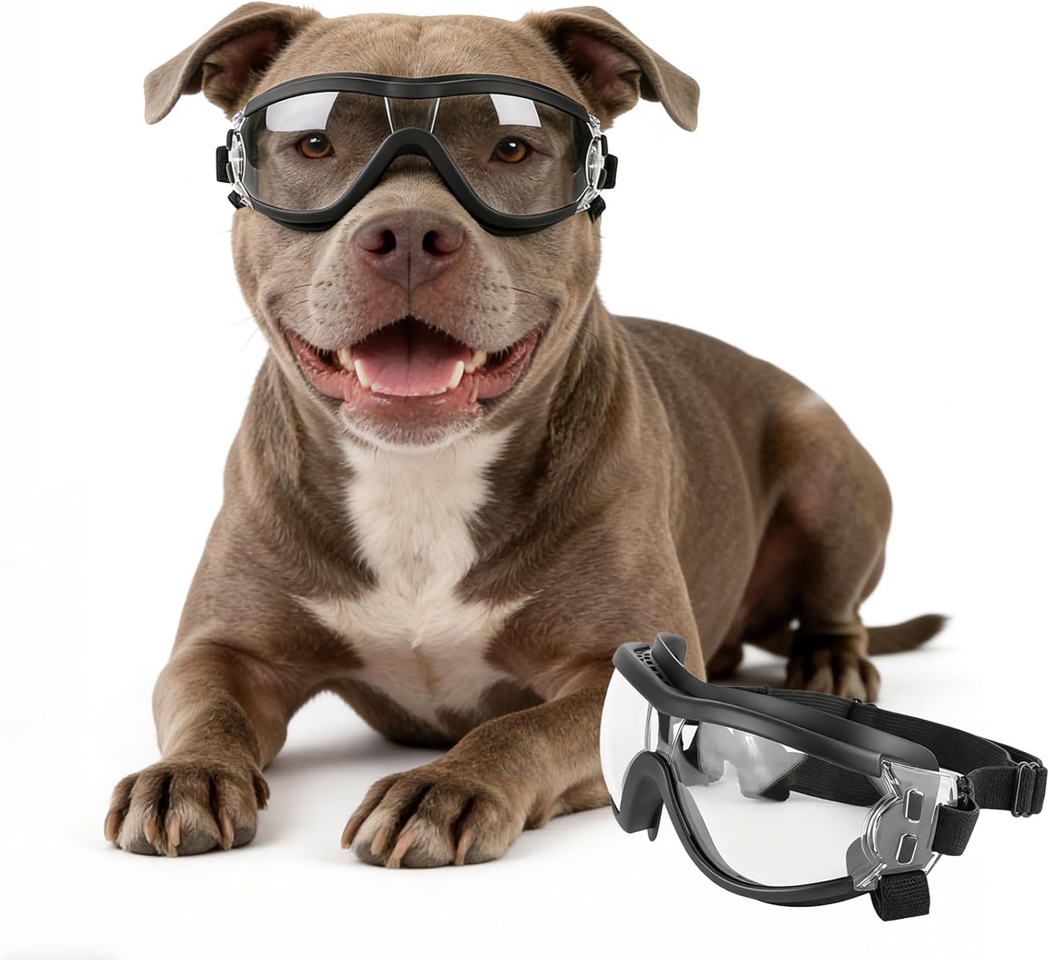Regulowane okulary dla psów, p – Pet Supplies Plus recenzja i cena