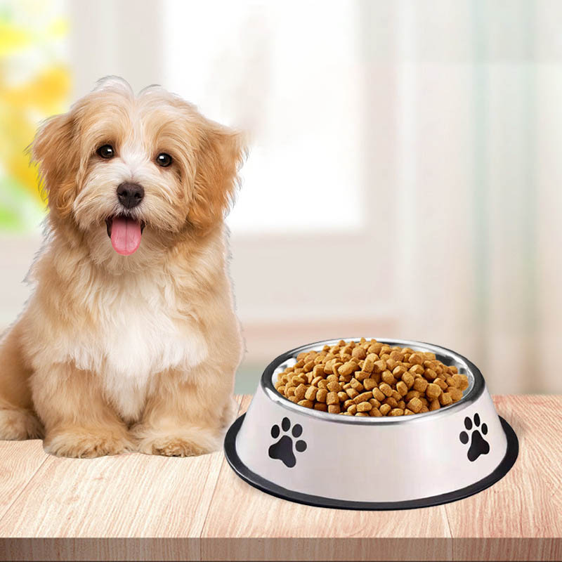 Miska dla zwierząt ze stali ni – Pet Supplies Plus recenzja i cena