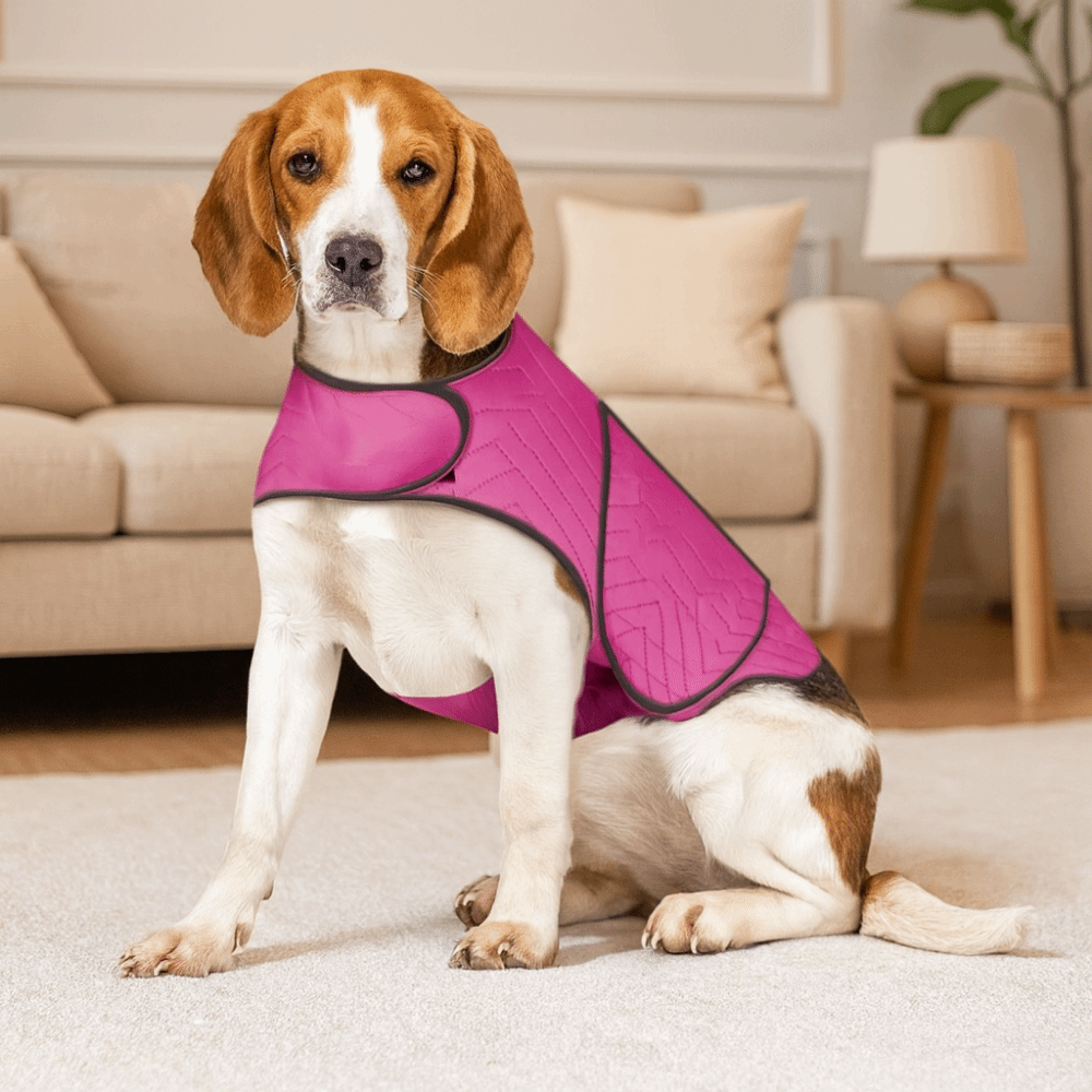 Praktyczna elastyczna kamizelk – Dog Anxiety Vest recenzja i cena