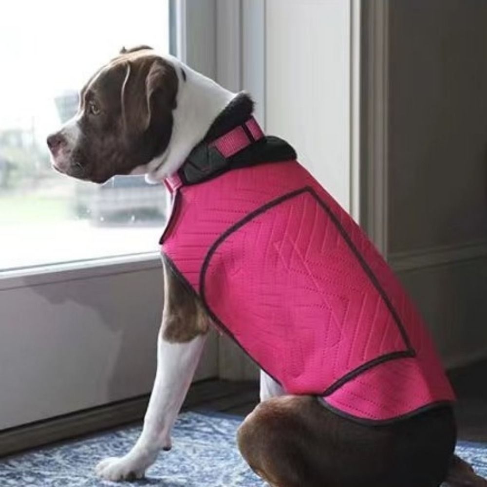 Praktyczna elastyczna kamizelk – Dog Anxiety Vest recenzja i cena