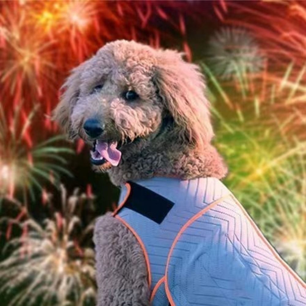 Praktyczna elastyczna kamizelk – Dog Anxiety Vest recenzja i cena