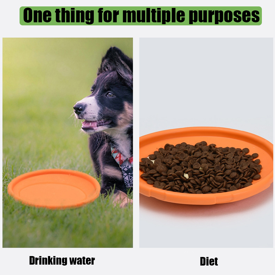 Duży pies, złoty futrzasty pie – Pet Supplies Plus recenzja i cena