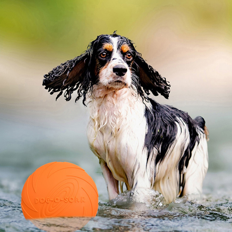 Duży pies, złoty futrzasty pie – Pet Supplies Plus recenzja i cena