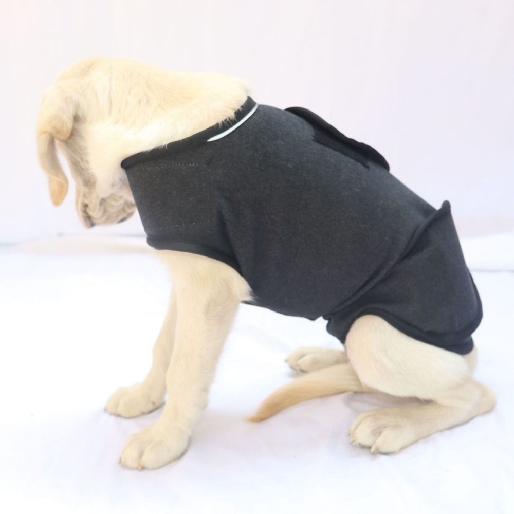 Ciepła kamizelka dla zwierząt  – Dog Anxiety Vest recenzja i cena