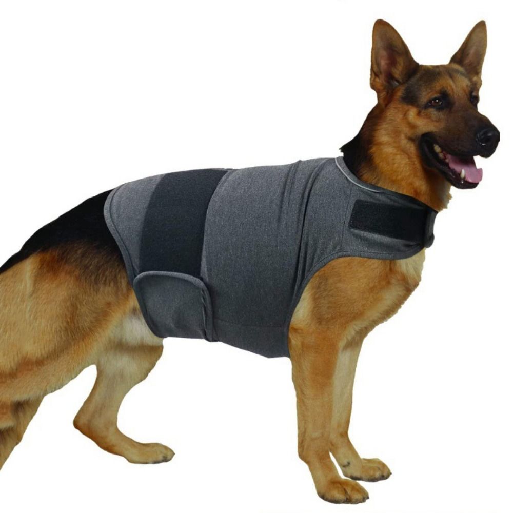 Ciepła kamizelka dla zwierząt  – Dog Anxiety Vest recenzja i cena